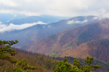 Fototapeta na wymiar Fog and low clouds over the Blue Ridge mountains in Nelson County, Virginia
