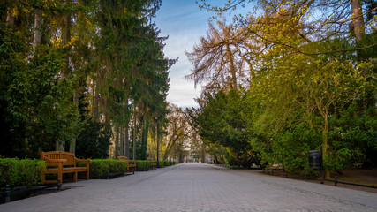 Obraz premium Alley in the Oliwa park in early spring scenery. Entrance to the park. Gdansk, Poland.
