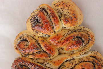 Poppy seed cake from yeast dough.