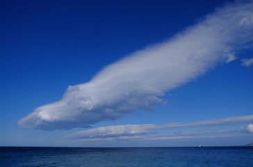 whale cloud