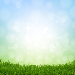 Obraz premium Spring Grass Border