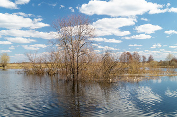 River landscape at spring length of time