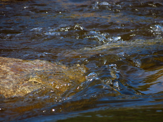 ripples in water