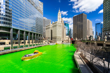 Fototapeta premium Dyeing River Chicago St' Partick Day.