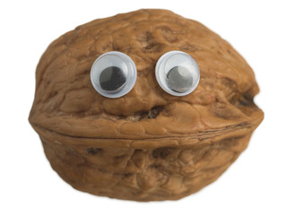 Whole walnut funny smile face with eyes isolated on white background. Food photography