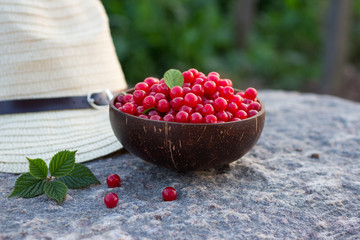 Prunus tomentosa or nanking cherry harvest in a cocnut bowl on a stone outdoors in summer. Countryside vacation concept