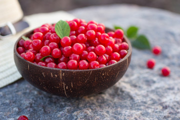 Prunus tomentosa or nanking cherry harvest in a cocnut bowl on a stone outdoors in summer. Countryside vacation concept