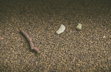 Ground