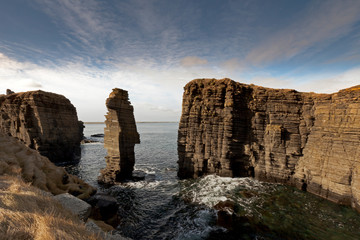 Stagged, textured, hard and very old