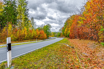 Herbstlandschaft an einer Straße