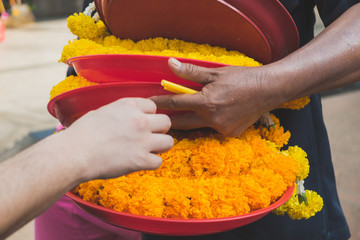 Seller's hand picking a tray of fresh marigold garland for a buyer to worship to Phra Phrom at the Erawan Shrine in Bangkok, Thailand.