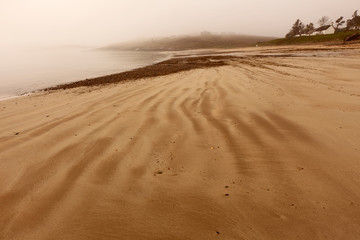A misty, sandy and desolate beach