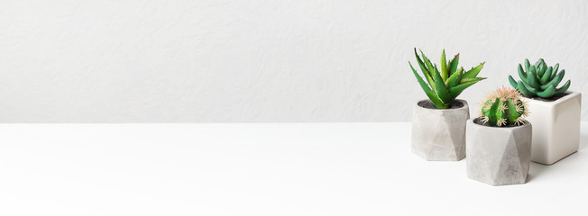 Mini cactus plants in pots on table over grey wall © Prostock-studio