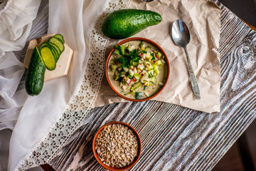 Tasty traditional Russian cold soup Оkroshka in healthy vegan version