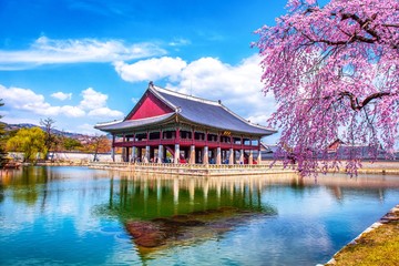 Gyeongbokgung palace in spring at seoul city south Korea 