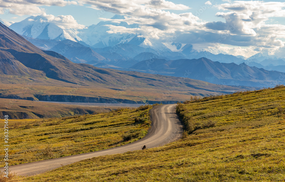 Canvas Prints Scenic Denali National Park Alaska Landscape