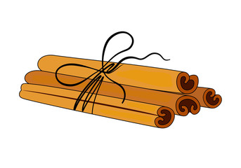 Cinnamon sticks tied with a rope. Cinnamon isolated on white background. Vector illustration.