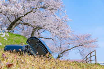 桜とランドセル