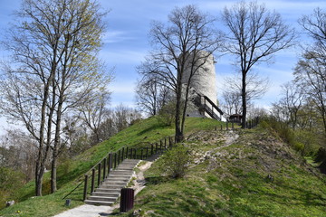 Baszta zamkowa © Albin Marciniak