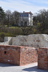 Zamek Kazimierzowski w Kazimierzu Dolnym © Albin Marciniak