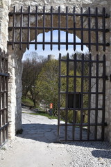 Zamek Kazimierzowski w Kazimierzu Dolnym © Albin Marciniak