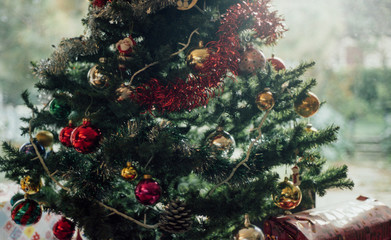 Obraz na płótnie Canvas close view of christmas tree 