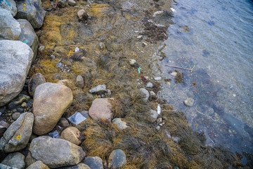 Marine pollution ocean plastic from Atlantic Canada