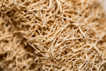 Abstract background. Close up natural sponge Luffa or zucchini sponge for body scrubbing.