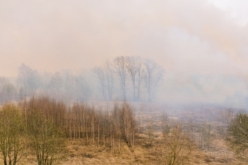 Fototapeta na wymiar A forest fire begins. Arson dry grass. Smoke forests. Guta smoke spreads on the street