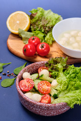 fresh vegetables and a bowl of salad with mozzarella on a blue background.  Caprese salad . Lettuce, cherry tomatoes, mozzarella, 