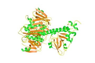 Molecular structure of cholera toxin (also known as choleragen) produced by bacterium Vibrio cholerae. Medical background. Scientific background. 3d illustration