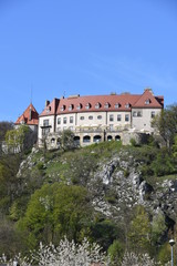 Fototapeta na wymiar Zamek w Przegorzałach pod Krakowem