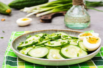 Fresh cucumber salad, boiled chicken eggs and green onions on a plate and ingredients for cooking...
