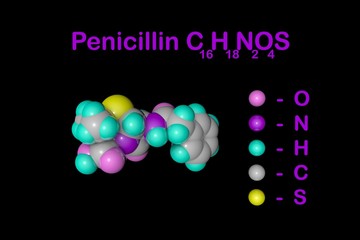 Structural chemical formula and molecular model of penicillin antibiotic produced by fungi Penicillium. It is one of the first discovered antibiotics. Scientific background. 3d illustration