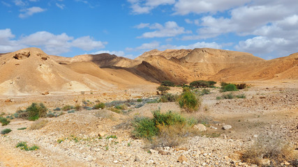 Fototapeta na wymiar Bright blue sky in the Negev desert
