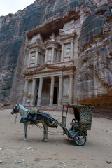 horse in front of Petra in Jordan