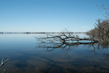 Colorado Nature Collection