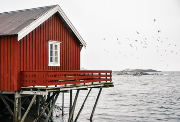 Lofoten Archipelago in the Arctic Circle in Norway