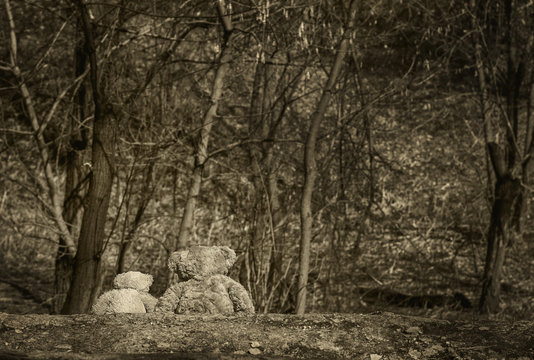 Back view of two brown stuffed teddy bear toys sitting on ground isolated on forest background. Image toned and stylized in vintage sepia look.