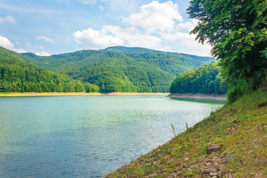 water storage reservoir in mountains. beautiful nature scenery in summer. forest on the shore around. wonderful sunny day with fluffy clouds on the sky