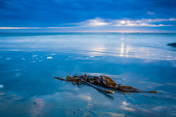 Seascapes of Cape Sable Island Nova Scotia Canada