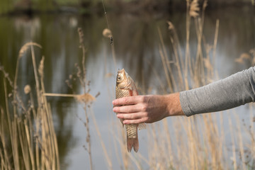 keep the fish in hand. a man caught a fish man on the fishing trip.