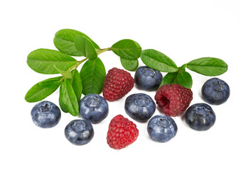 Blueberries and raspberry with a sprig with leaves on white background