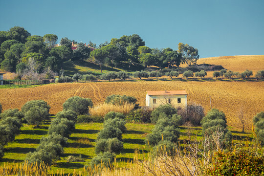 Hilly landscape in nature with remains of an abandoned house. Meadows and green trees in nature. Location: Silvi city in the Abruzzo region in Italy.