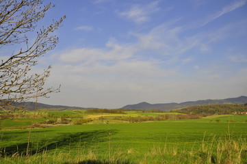 widok