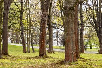 Fototapeta premium Park of Polish Pilots in Krakow