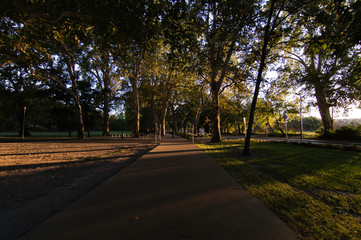 Sunset on the roads of the City Park, Budapest, Hungary