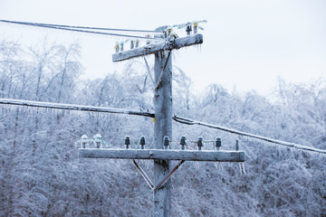 Obraz premium freezing rain on electric pole and wire, Montreal, 9 April, 2019