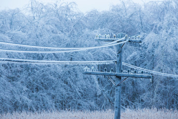 freezing rain on electric pole and wire, Montreal, 9 April, 2019