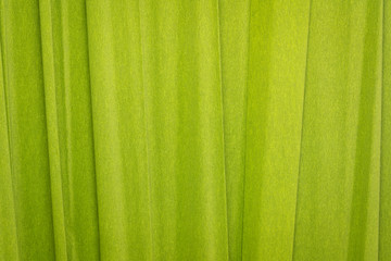 green crepe paper background